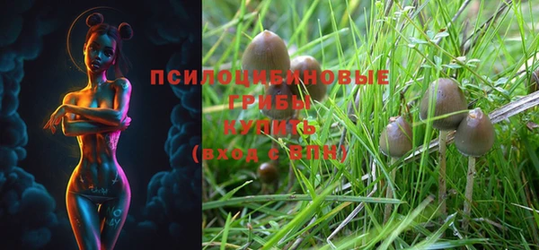 прущая мука Арсеньев