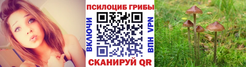 KRAKEN сайт  Оса  Псилоцибиновые грибы прущие грибы 